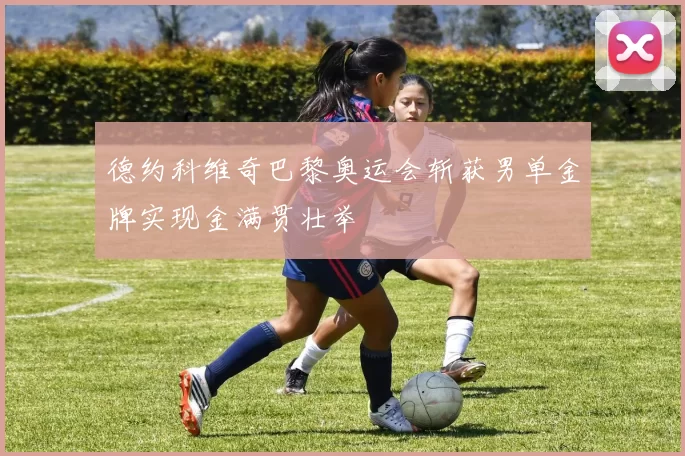 德约科维奇巴黎奥运会斩获男单金牌实现金满贯壮举